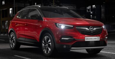 Descargar Manual OPEL Grandland X 2021 de Usuario