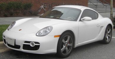 Descargar Manual Porsche Cayman 2010 de Usuario