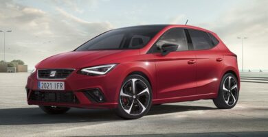 Descargar Manual Seat Ibiza 2022 de Usuario