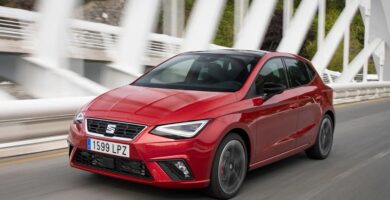 Descargar Manual Seat Ibiza 2023 de Usuario