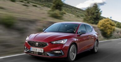 Descargar Manual Seat Leon 2021 de Usuario