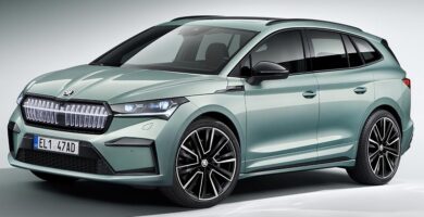 Descargar Manual Skoda Enyaq 2021 de Usuario