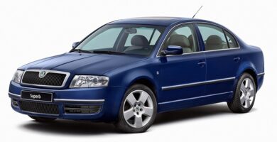 Descargar Manual Skoda Superb 2005 de Usuario