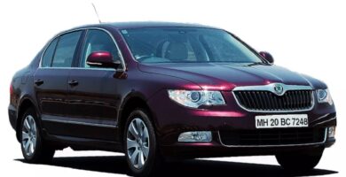 Descargar Manual Skoda Superb 2009 de Usuario