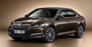 Descargar Manual Skoda Superb iV 2020 de Usuario