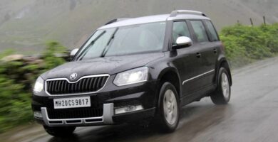 Descargar Manual Skoda Yeti 2014 de Usuario