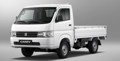 Descargar Manual Suzuki Carry 2019 de Usuario