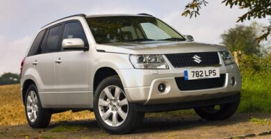 Descargar Manual Suzuki Grand Vitara 2010 de Usuario