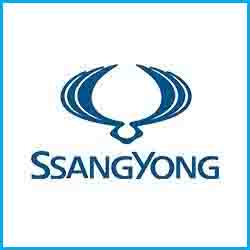 Descargar Manuales Ssangyong