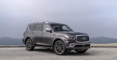 Descargar Manual Infiniti QX80 2023 de Usuario