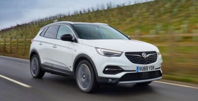 Descargar Manual Vauxhall Grandland X 2020 de Usuario