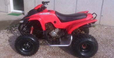 Descargar Manual de Propietario de Moto ADLY Atv 300S PDF gratis