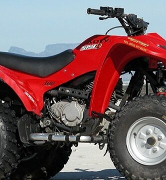 Descargar el Manual de Taller Moto ADLY ATELIER 300 2004 PDF gratis