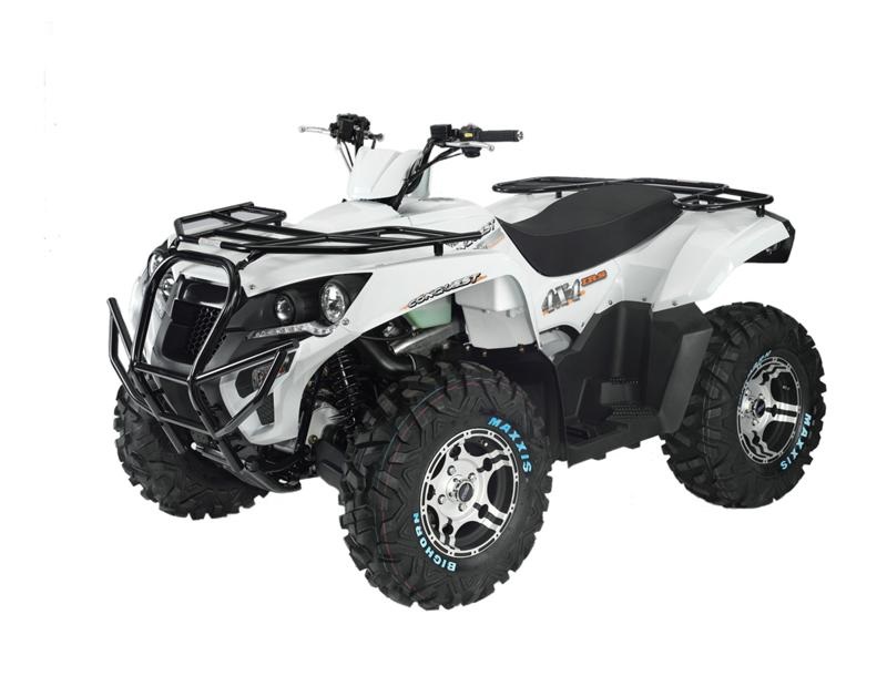 Descargar el Manual de Taller Moto ADLY ATV 300S PDF gratis