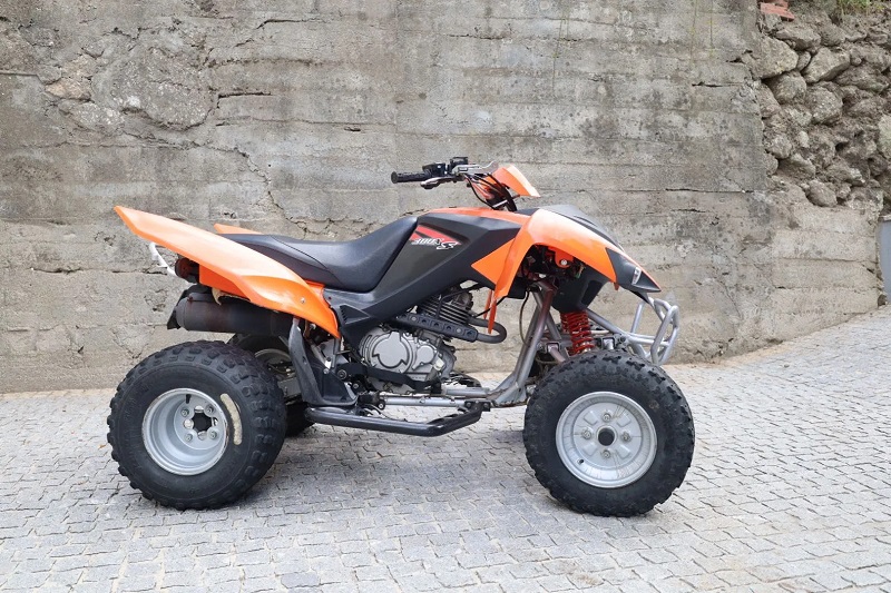 Descargar el Manual de Taller Moto ADLY ATV 300XS PDF gratis