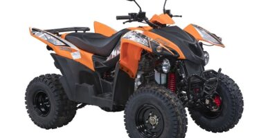 Descargar el Manual de Taller Moto ADLY ATV 320 PDF gratis