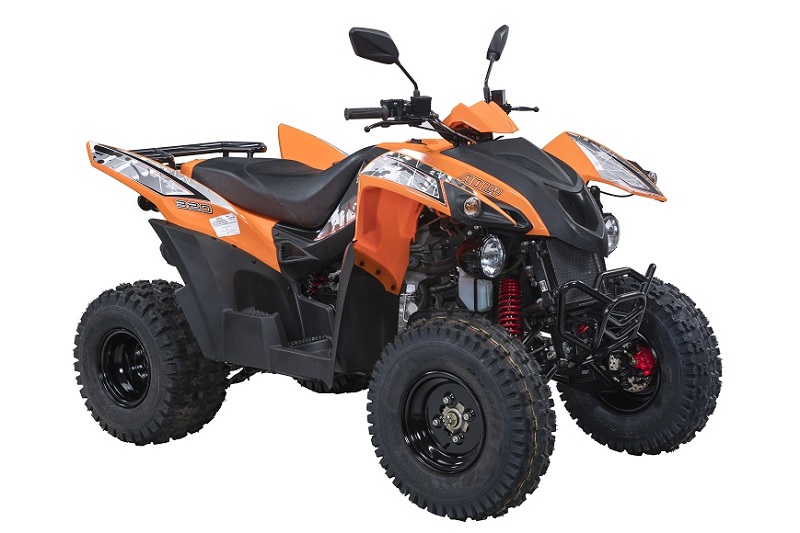 Descargar el Manual de Taller Moto ADLY ATV 320 PDF gratis