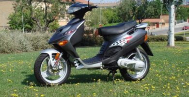 Descargar el Manual de Taller Moto ADLY SF 50 PDF gratis