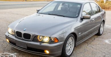 Descargar Manual de Propietario BMW 530i 2002 PDF gratis