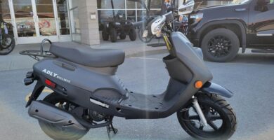 Descargar el Manual de Usuario Moto ADLY Bullseye 50 PDF gratis