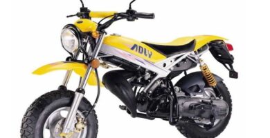 Descargar Manual de Propietario Moto ADLY Rt 50 PDF gratis