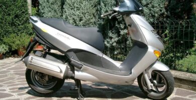 Descargar Manual de Taller Moto APRILIA Leonardo 125 2003 PDF Gratis