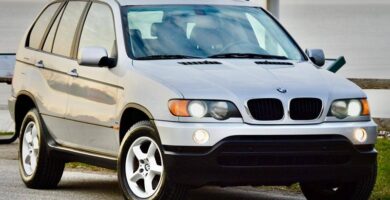 Descargar Manual de Propietario BMW X5 3.0i 2002 PDF gratis