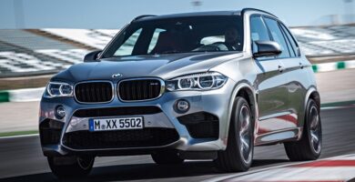 Descargar Manual de Propietario BMW X5 M 2015 PDF gratis