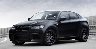 Descargar Manual de Propietario BMW X6 M 2010 PDF gratis