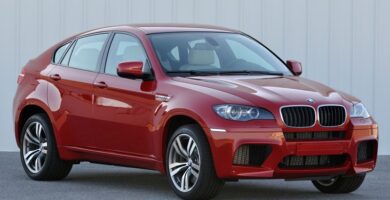 Descargar Manual de Propietario BMW X6 M 2011 PDF gratis