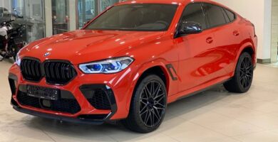 Descargar Manual de Propietario BMW X6 M 2016 PDF gratis