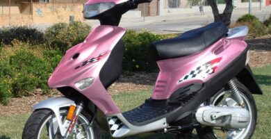 Descargar el Manual de Usuario Moto ADLY Sf 100 PDF gratis