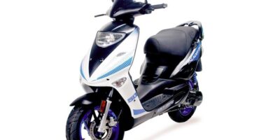 Descargar Manual de Propietario Moto ADLY St 150 PDF gratis