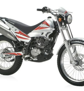 Descargar Manual de Taller Moto BETA 200 cc 2008 PDF Gratis