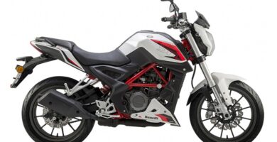 Descargar el Manual de Propietario Moto BENELLI BN 251 PDF gratis