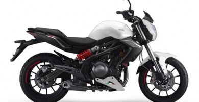 Descargar el Manual de Propietario Moto BENELLI BN 302 PDF gratis