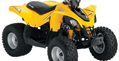 Descargar el Manual de Propietario Moto BOMBARDIER DS 90 Quad 2007 PDF gratis