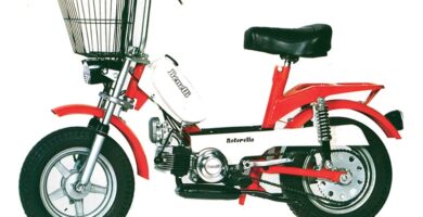 Descargar el Manual de Taller Moto BENELLI Motorella 1978 PDF gratis