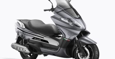 Descargar el Manual de Taller Moto BENELLI ZAFFERANO 250 PDF gratis
