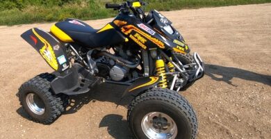 Descargar el Manual de Taller Moto BOMBARDIER DS 650 ATV 2001 PDF gratis