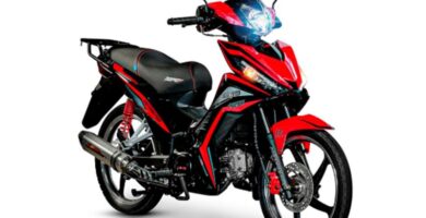 Descargar el Manual de Usuario Moto BAJAJ Discover 125 PDF gratis