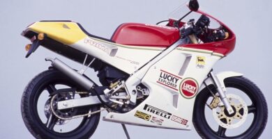 Descargar el Manual de Propietario Moto CAGIVA Prima 50 PDF gratis