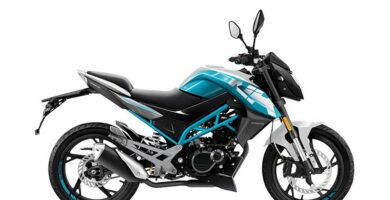 Descargar el Manual de Propietario Moto CFMOTO CF 150T-5 PDF gratis