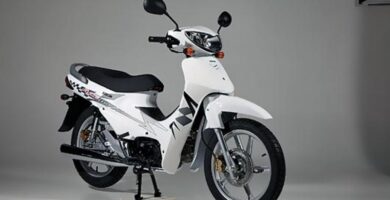 Descargar el Manual de Propietario Moto DAELIM Citi Ace 110 PDF gratis