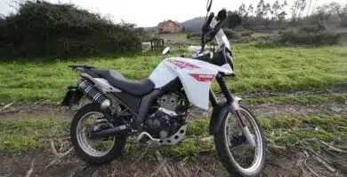 Descargar Manual de Taller Moto DERBI Terra 125c PDF Gratis