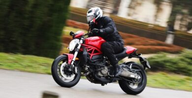 Descargar el Manual de Propietario Moto DUCATI Monster 821 Stripe PDF gratis