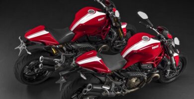 Descargar el Manual de Propietario Moto DUCATI Monster 821 Stripe Dark PDF gratis