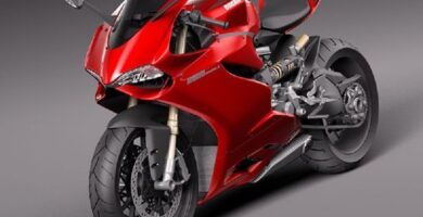 Descargar el Manual de Propietario Moto DUCATI Superbike 1199 Panigale PDF gratis
